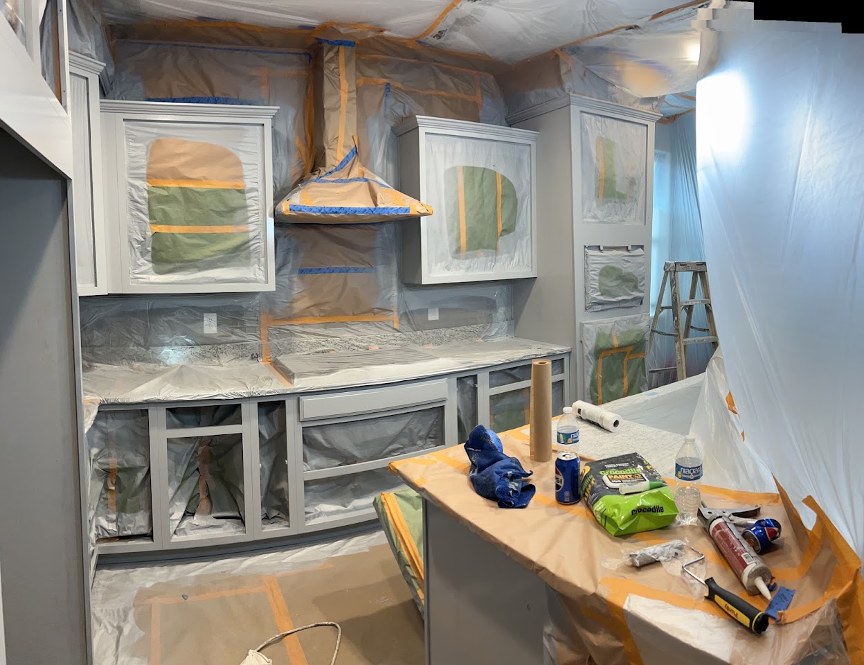 OSVEL PAINTING LLC project